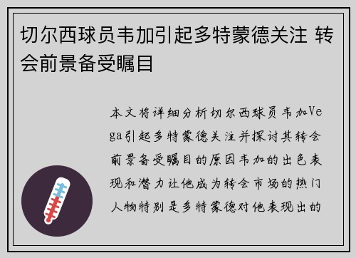切尔西球员韦加引起多特蒙德关注 转会前景备受瞩目